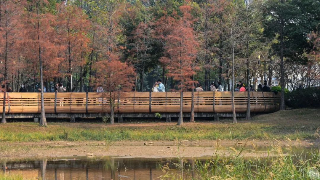 莲花山绿了没,莲花山红色景点有哪些