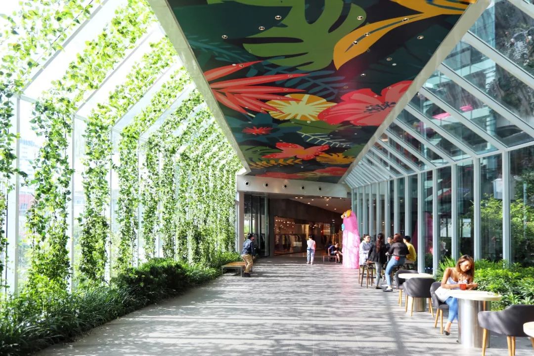 泰国曼谷逛吃攻略,泰国曼谷旅游攻略