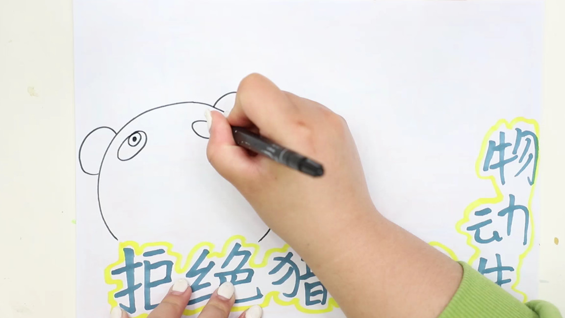 关于野生动物书的手抄报,关于野生动物的手抄报简单漂亮