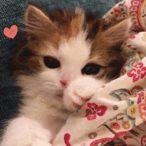 化疗后恶心呕吐怎么可以缓解,化疗后怎么避免恶心呕吐