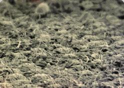 妇科炎症要怎么选内裤,有妇科炎症怎样选内裤