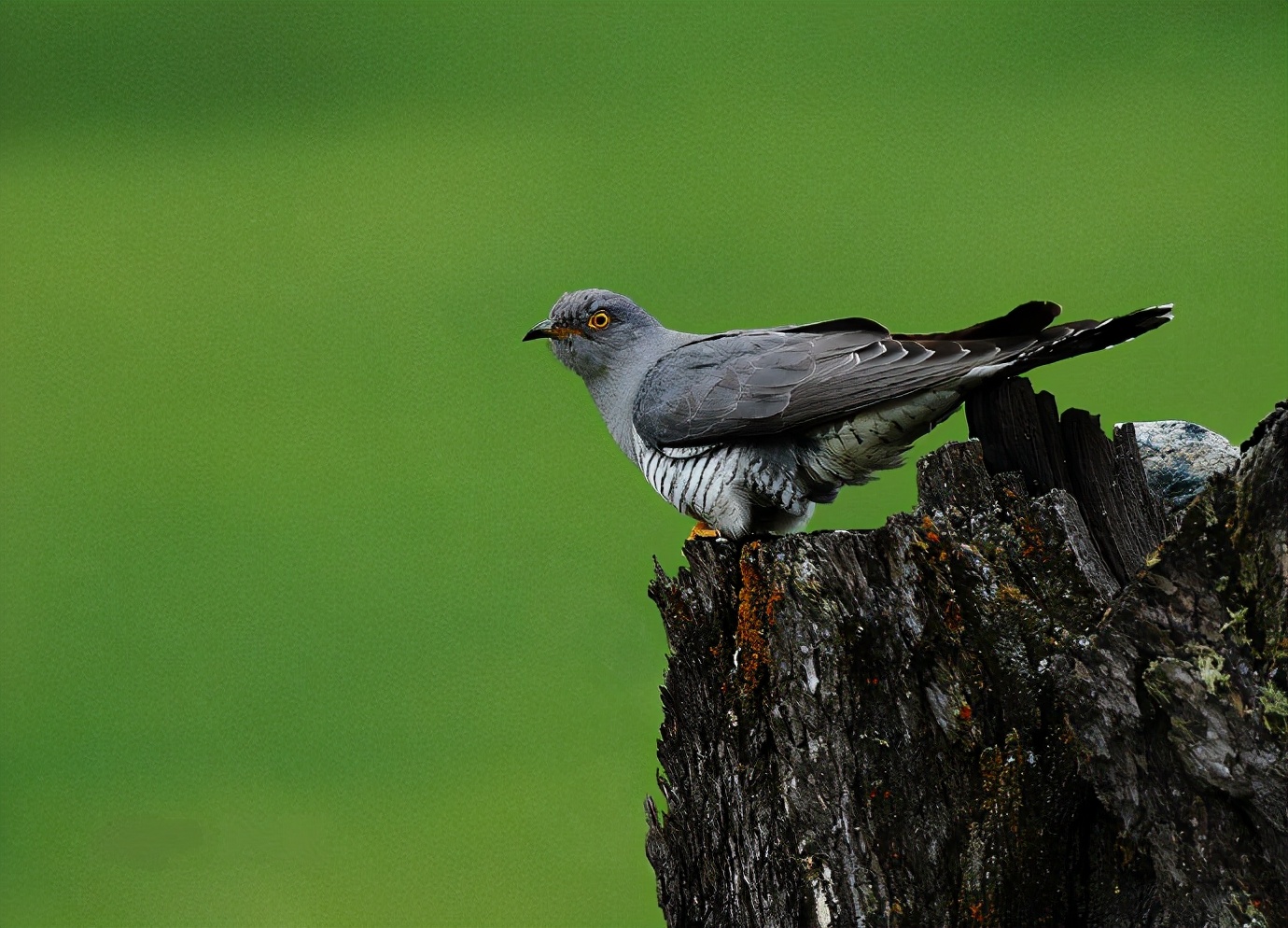 为什么说四川华夏文明的发源地,为何四川文化影响力这么强
