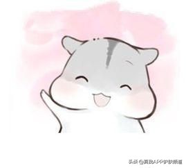 男生护肤需要买哪些护肤品,男生护肤的正确步骤及护肤品推荐