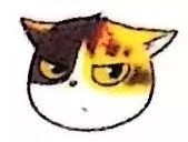 猫病系列视频,猫咪高钾血症怎么治疗