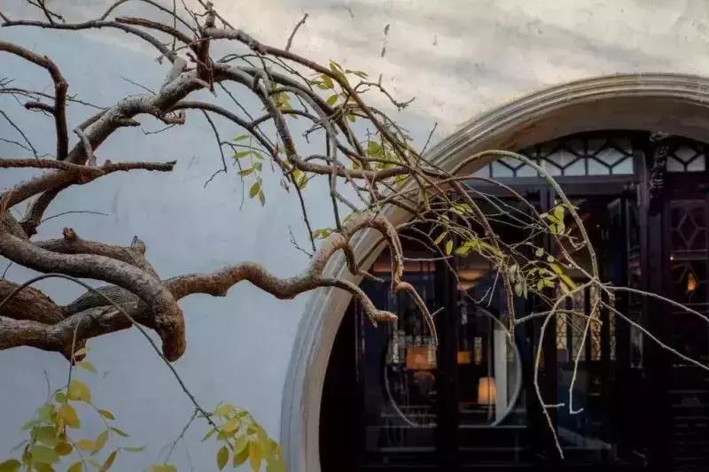 10家最新设计型精品民宿,十大创意民宿排行榜