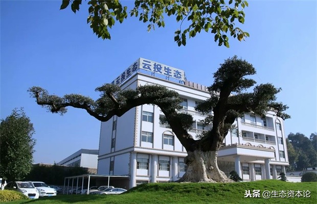 云投最新利润消息,云投生态前景如何