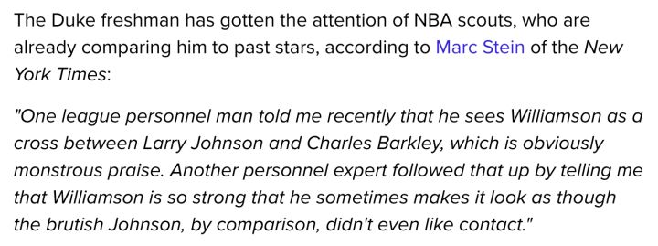 锡安和凯尔登约翰逊,锡安模板约翰逊