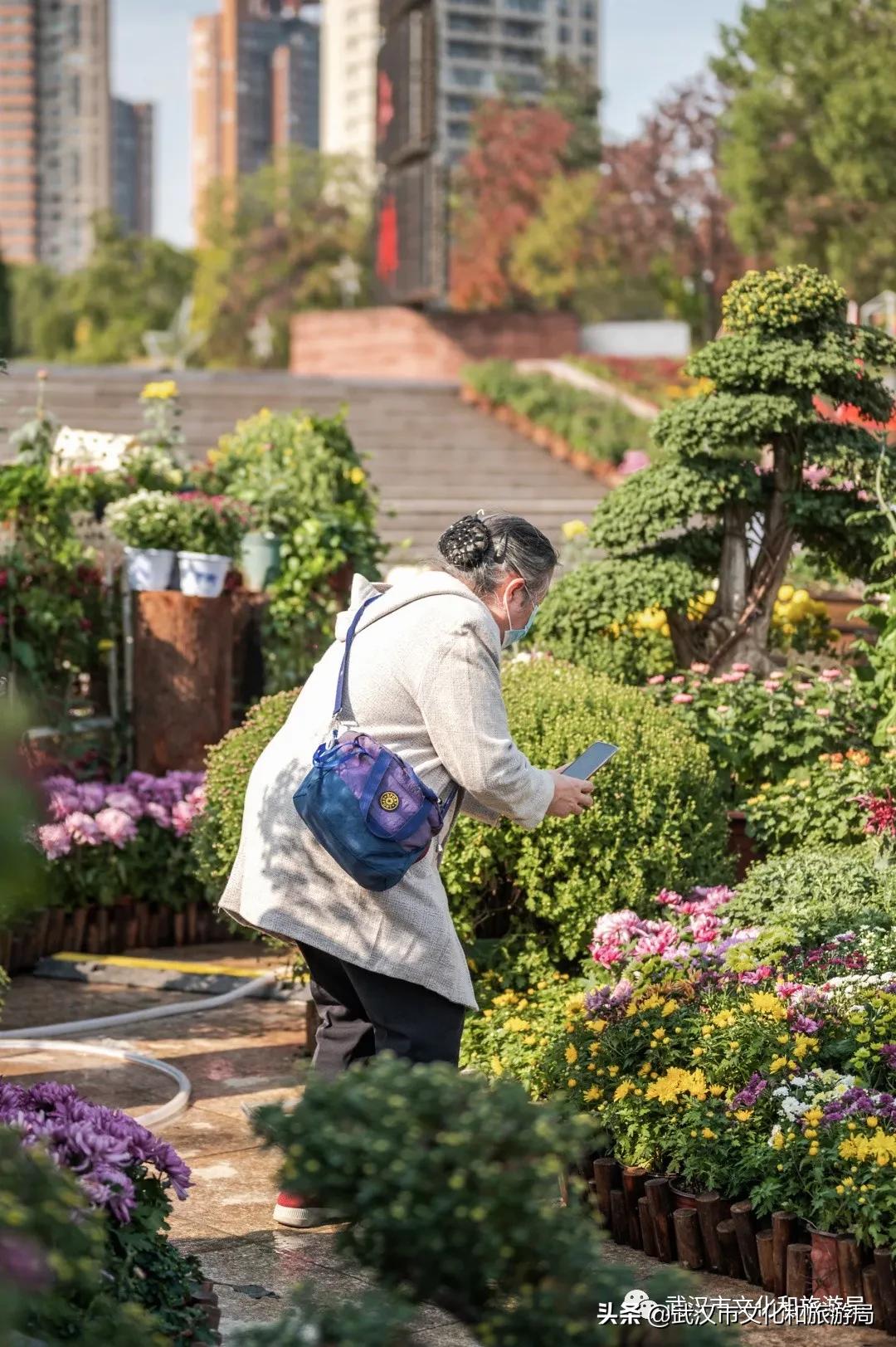 武汉秋天的第一场音乐节,武汉秋天第一场音乐节