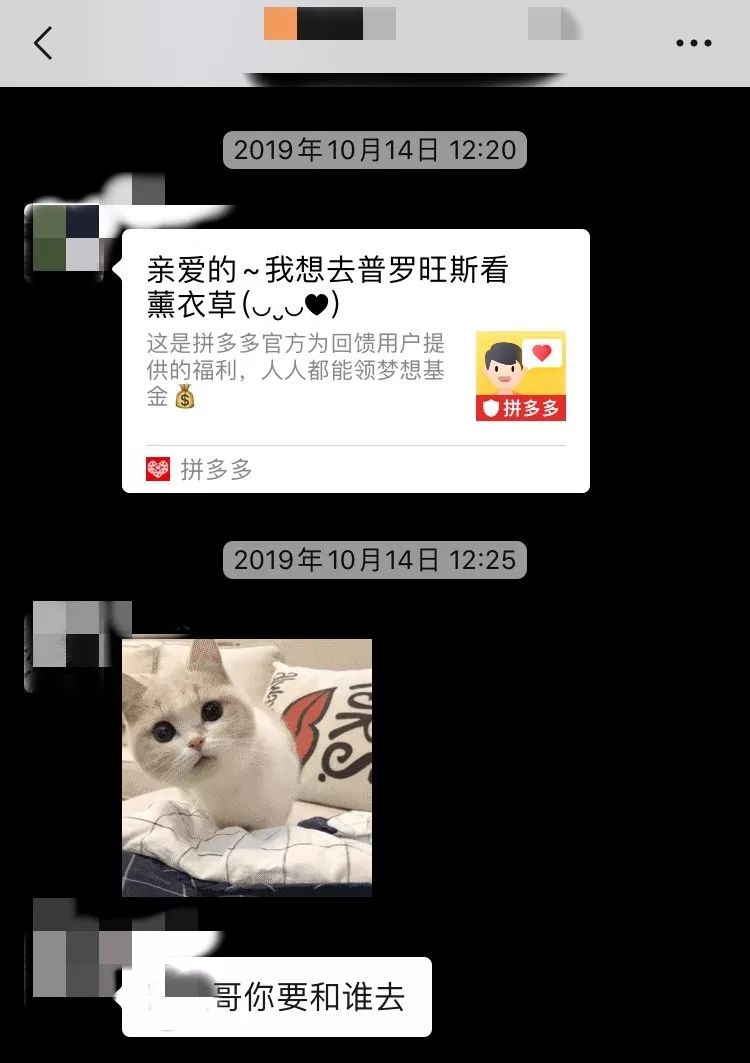 在穷困潦倒面前一文不值,拼多多是贫民窟的福音吗