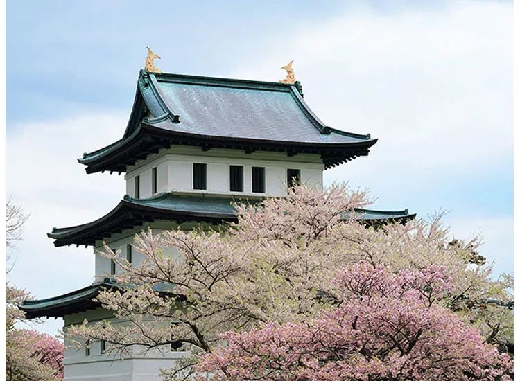 北海道赏樱住宿,北海道赏樱手册
