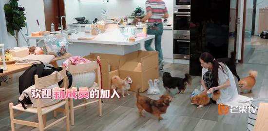 郭碧婷再被疑怀孕,郭碧婷孕期微博