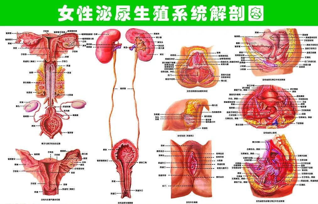 处女的第一次都会流血吗？会不会有例外？一次性科普到位