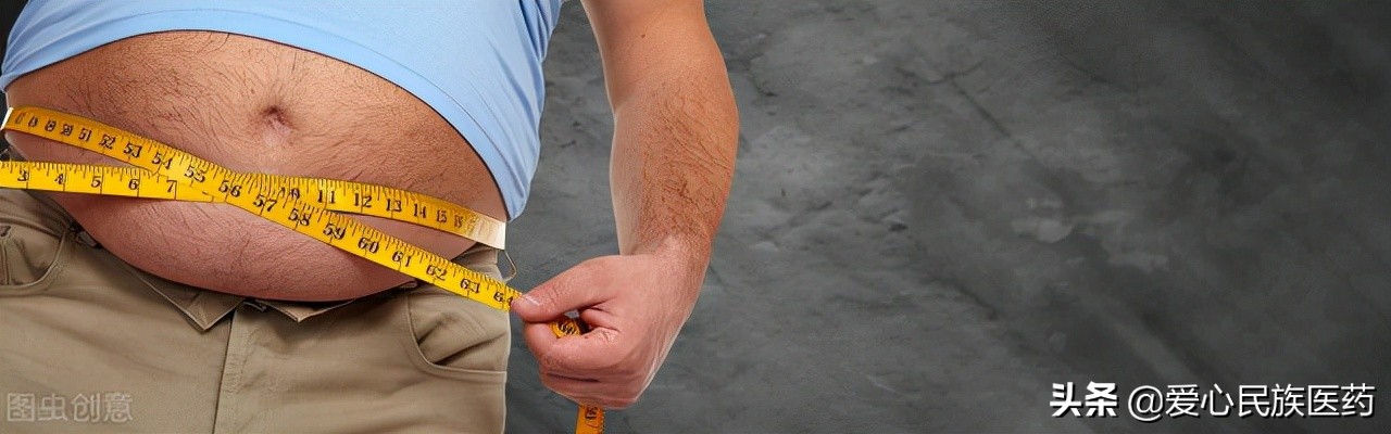 肥胖永远的话题在中医指导下多吃这些药食同源的中药效果很不错