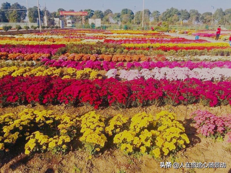 南京江宁区旅游必去的景点免费,南京江宁旅游攻略必去景点排名