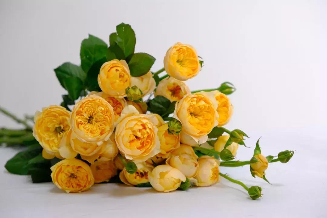 那些年你爱过的小说女配,那些年你爱过的老歌