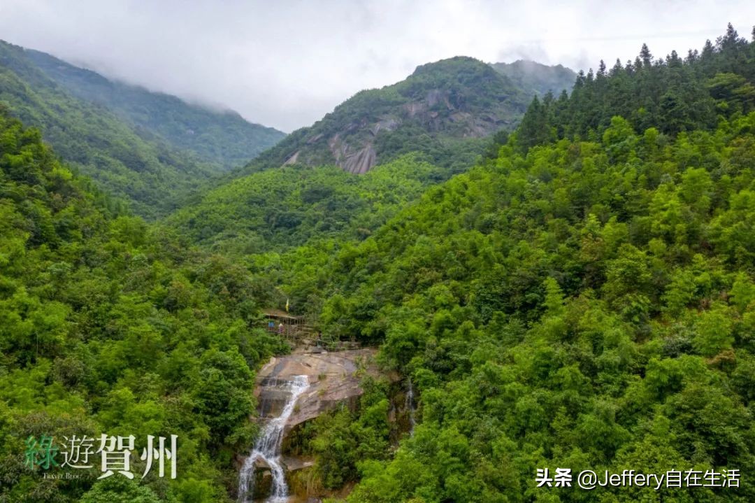 拍贺州｜莲塘镇大山深处的“一号基地”