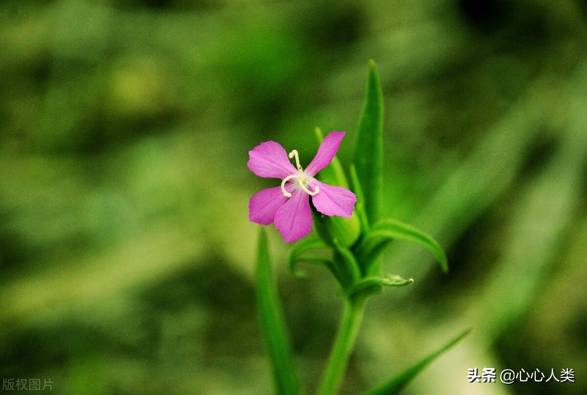 郭美美的价值观为何会扭曲,一代网红郭美美的荒谬人生