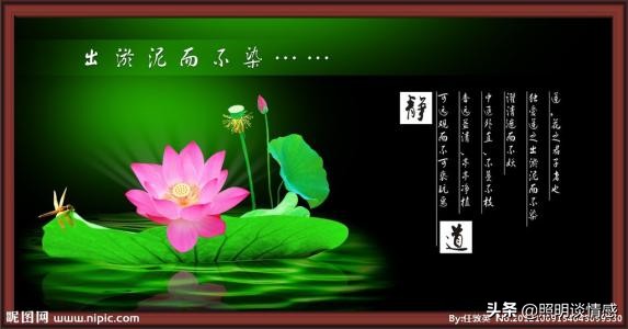 说生活之“道”，品中华文化之博大精深