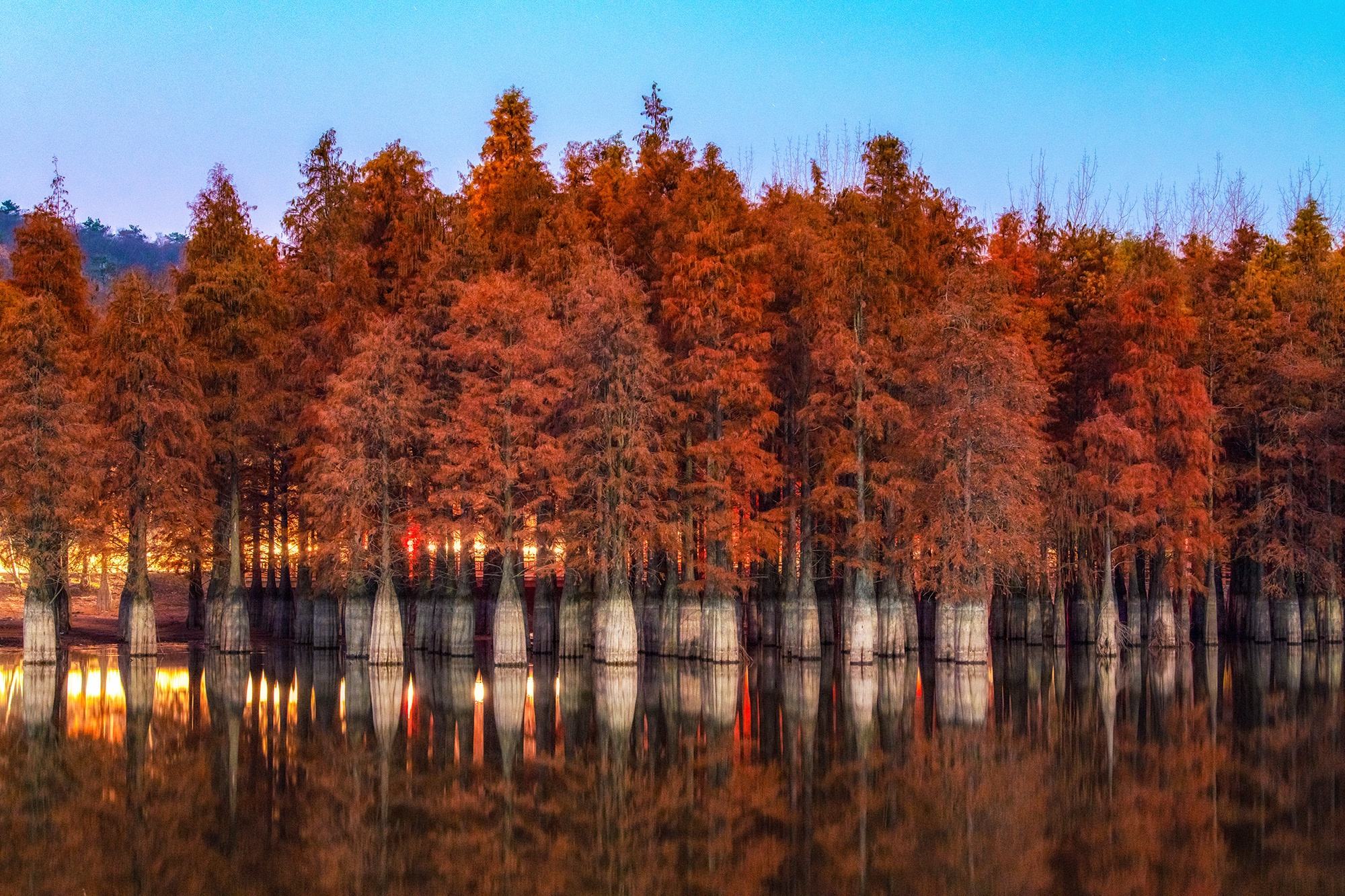 寻找南京的烟火气,南京六朝古都美食攻略