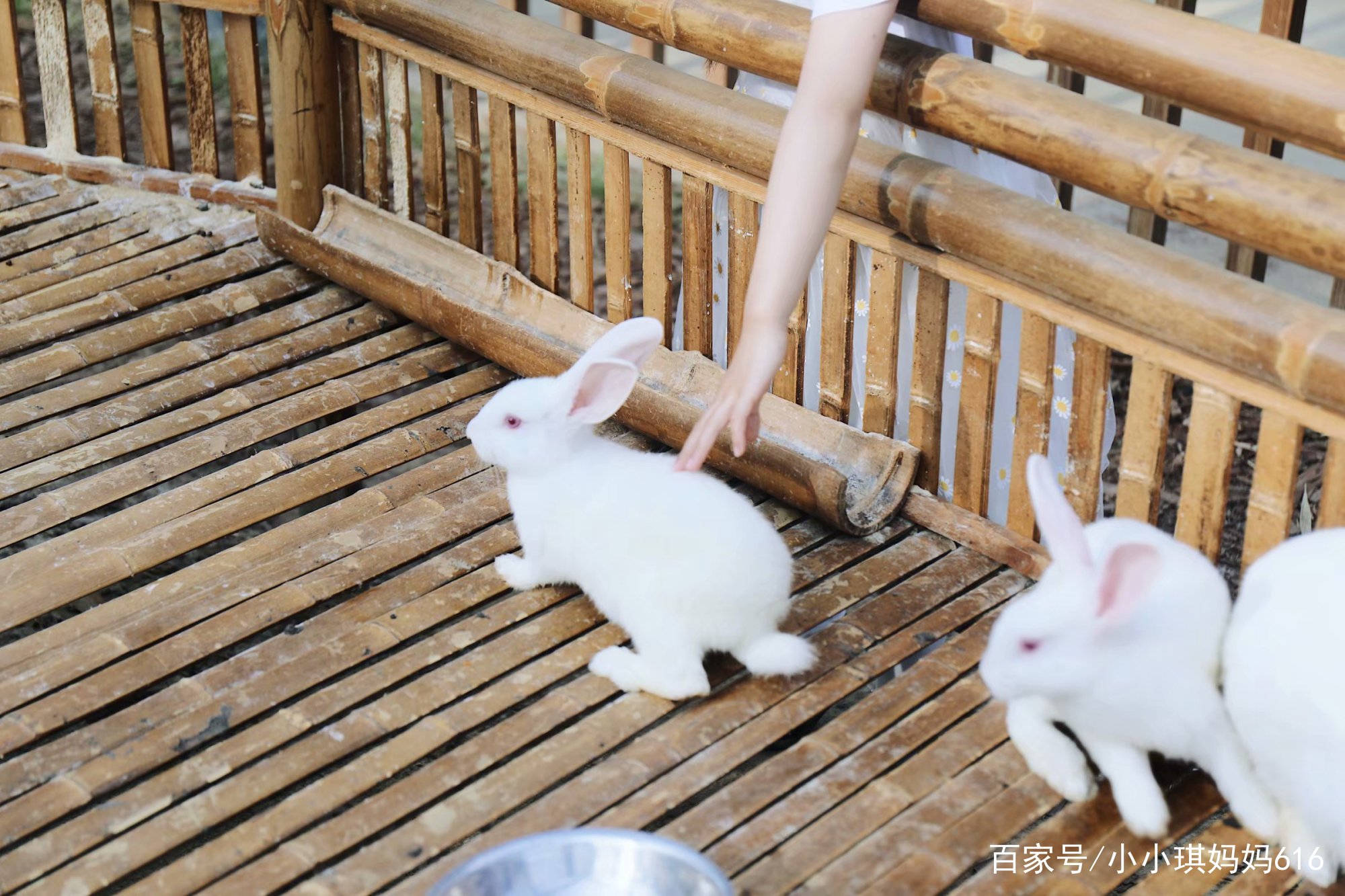 南京周边适合小众安静的旅行地,南京周边一天度假最好的地方