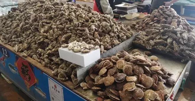休渔期海鲜为什么涨价,今年威海休渔期最新政策