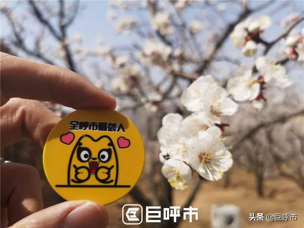 古人赞叹的美景,呼和浩特古代风景