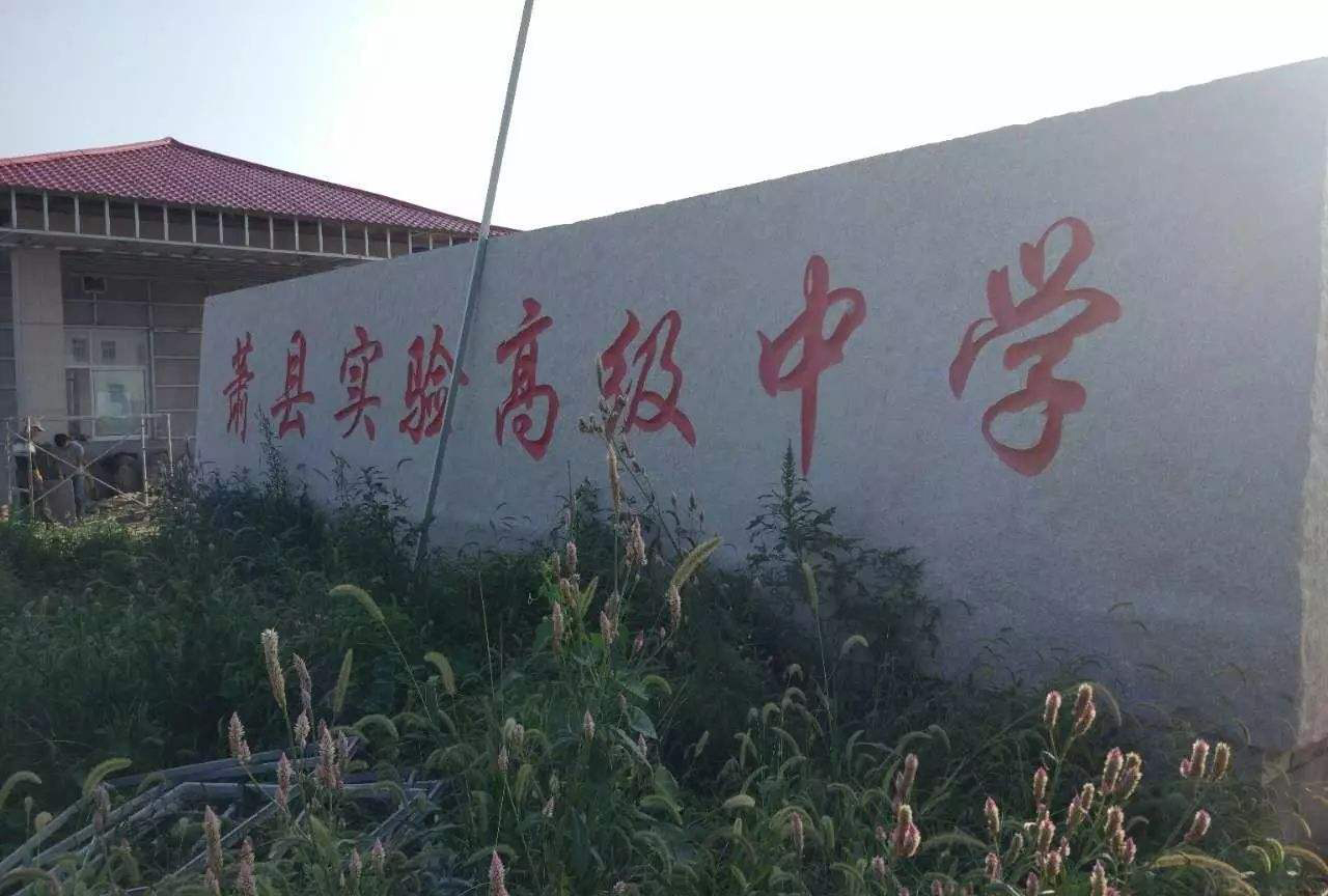 宿州市十大高中排行榜,宿州市重点中学排名前十