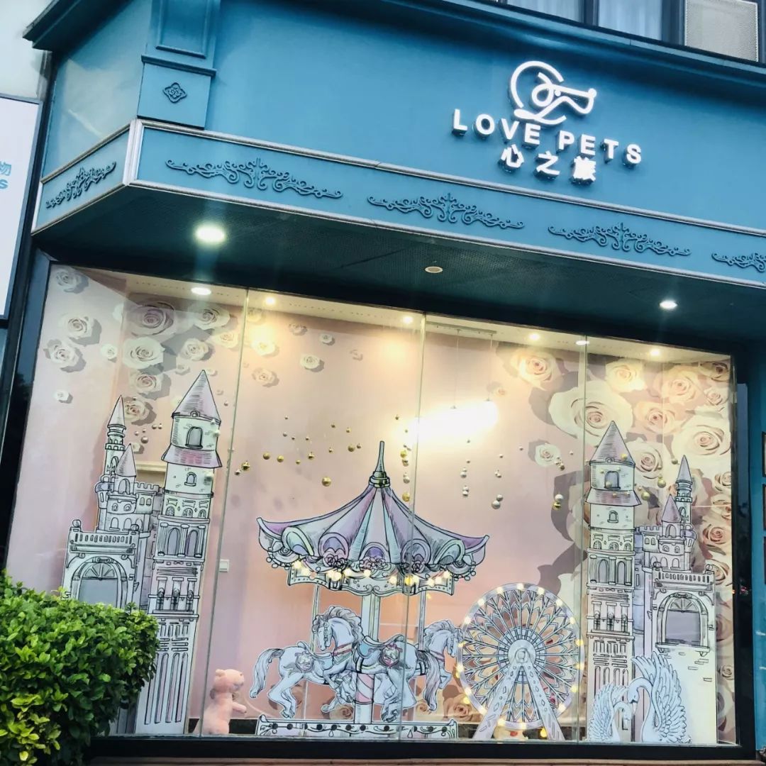 开宠物店成都哪里最好卖,成都最大宠物连锁店