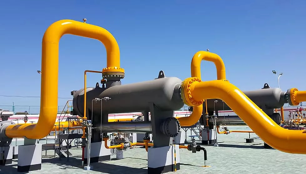 三十条冷知识大全,荷兰100条冷知识