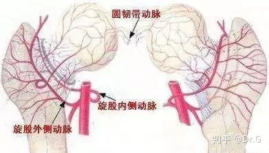 短时间用激素一定会股骨头坏死吗,没服过激素会股骨头坏死吗