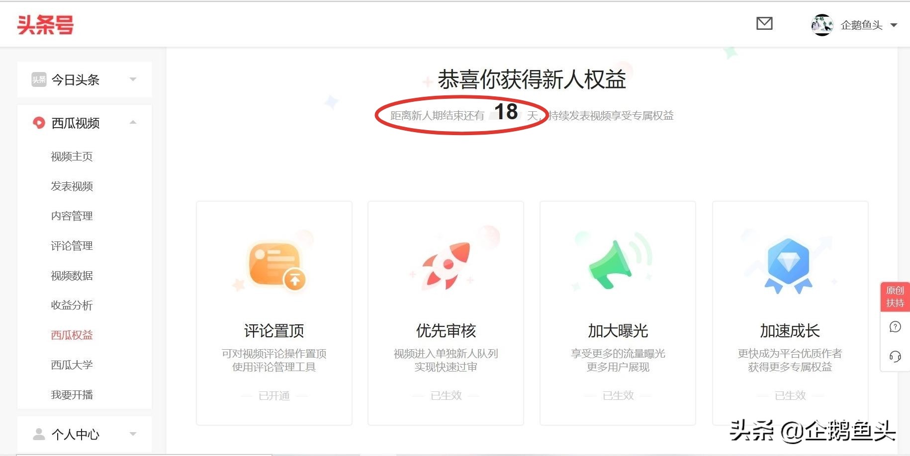 小白做自媒体破平台期的方法,新手开通自媒体收益多少