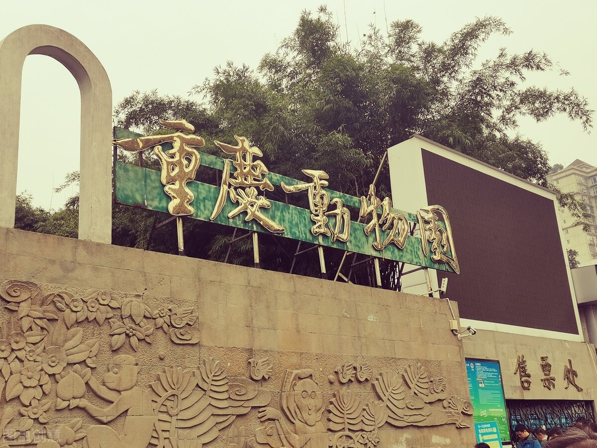 长江索道游玩重庆轨道交通2号线,重庆轨道交通2号线游玩攻略