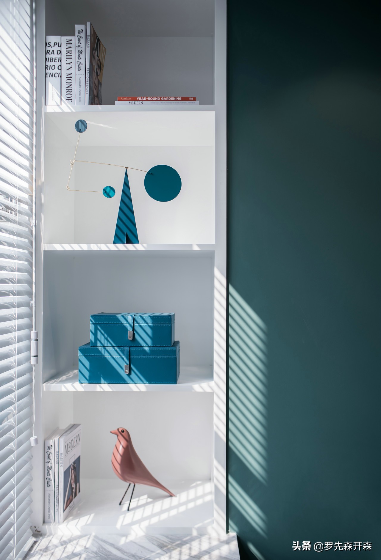 一人一猫三餐四季vlog,一猫两人三餐四季的生活