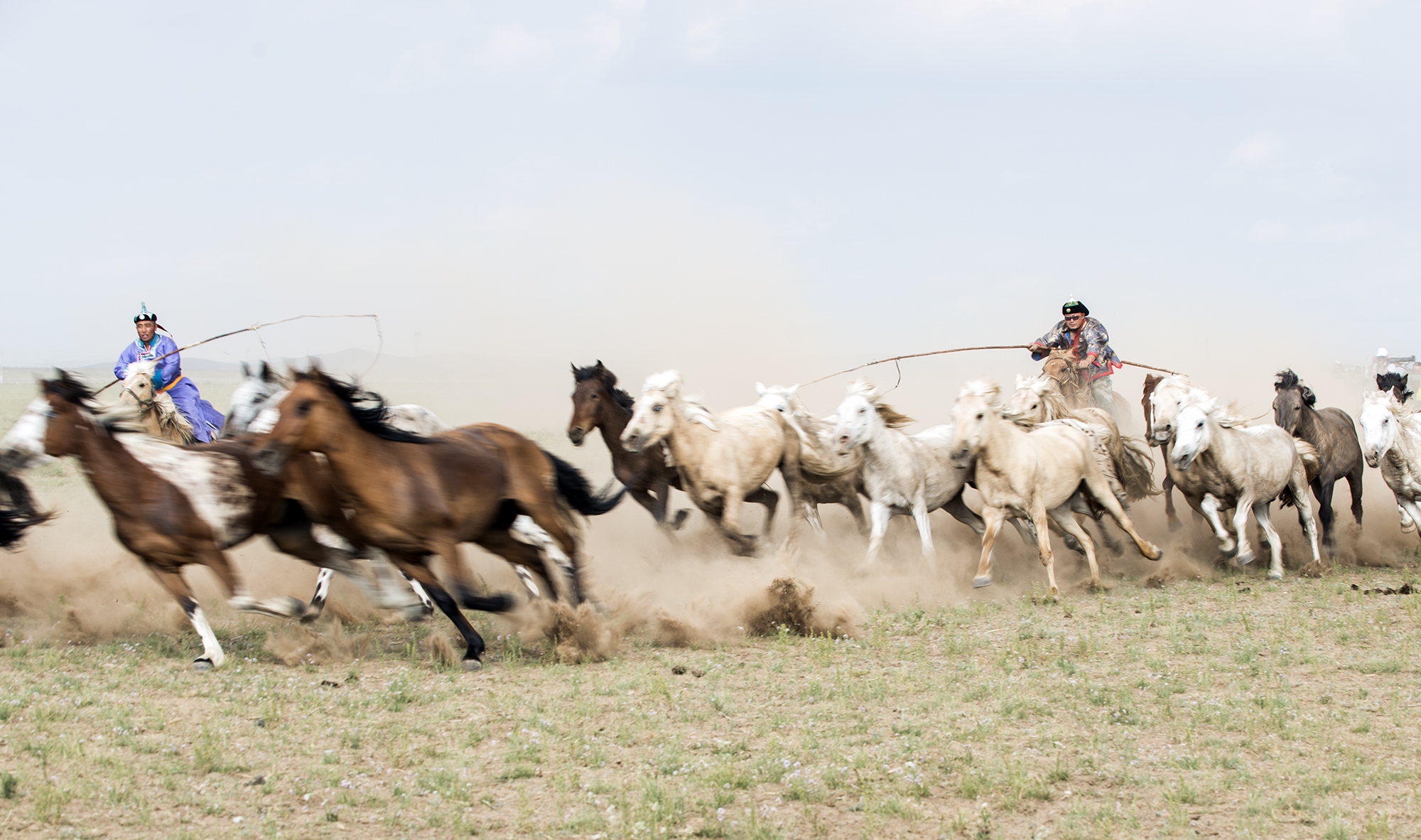蒙古族传统体育之赛马,蒙古族传统体育项目博克