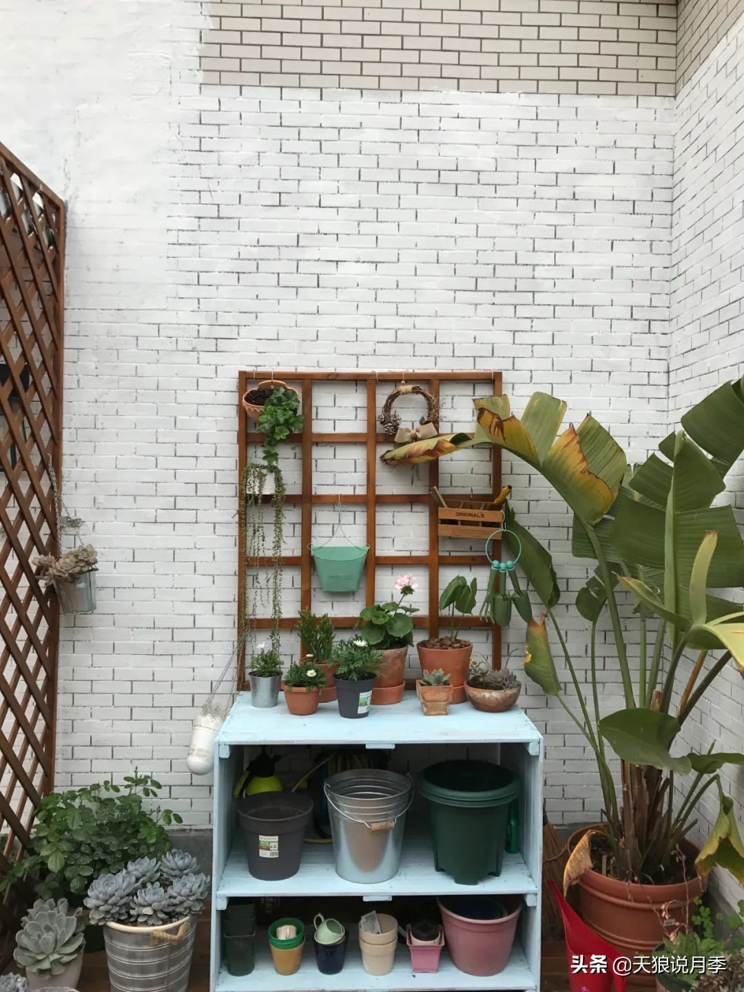 如何打造四季开花的花园,如何打造四季都有花的花园