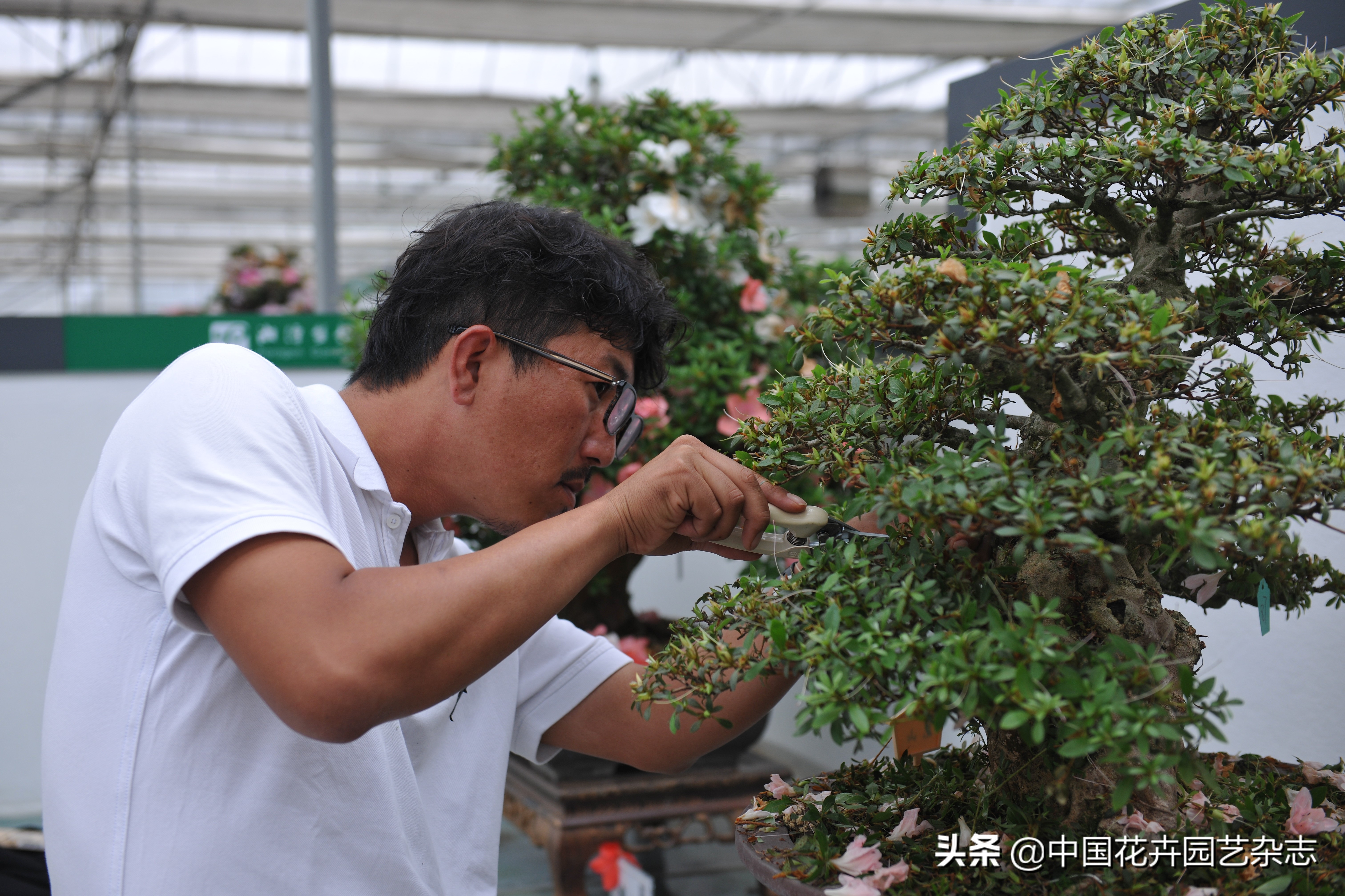 一等奖征文名单,一等奖征文欣赏