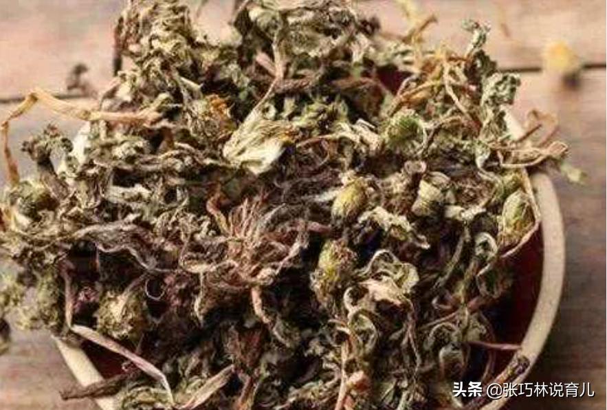 蒲公英的十大功效与四大禁忌,蒲公英好处有哪些