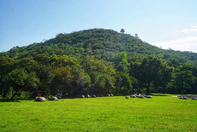 南澳岛在哪里旅游攻略,南澳岛一日游攻略省钱攻略