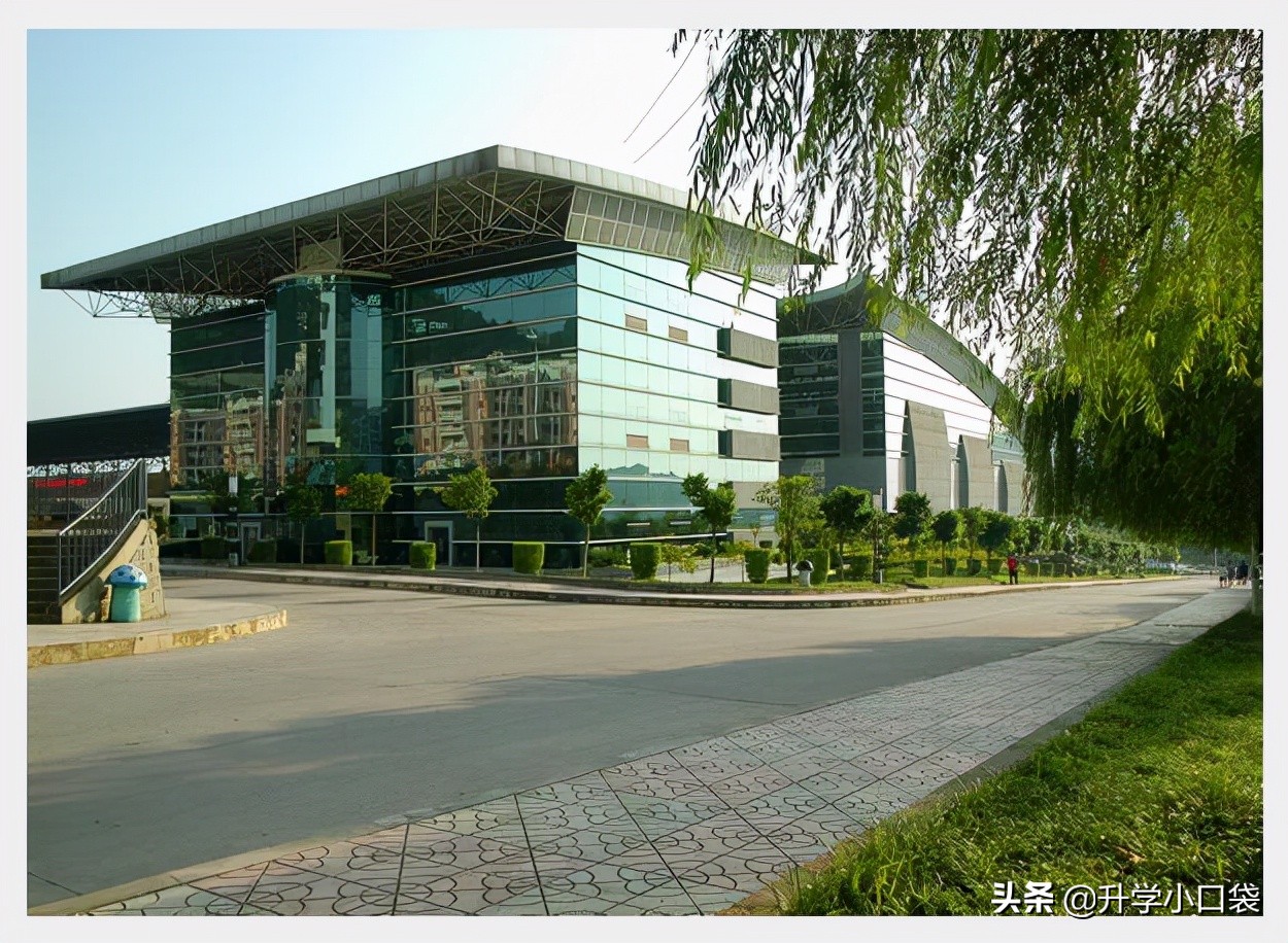 重庆邮电大学2022届保研数据已出炉，保研率3.79%，197人被保研