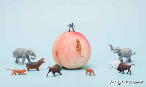 ToB营销新思路和方案,tob销售突破和toc营销创新