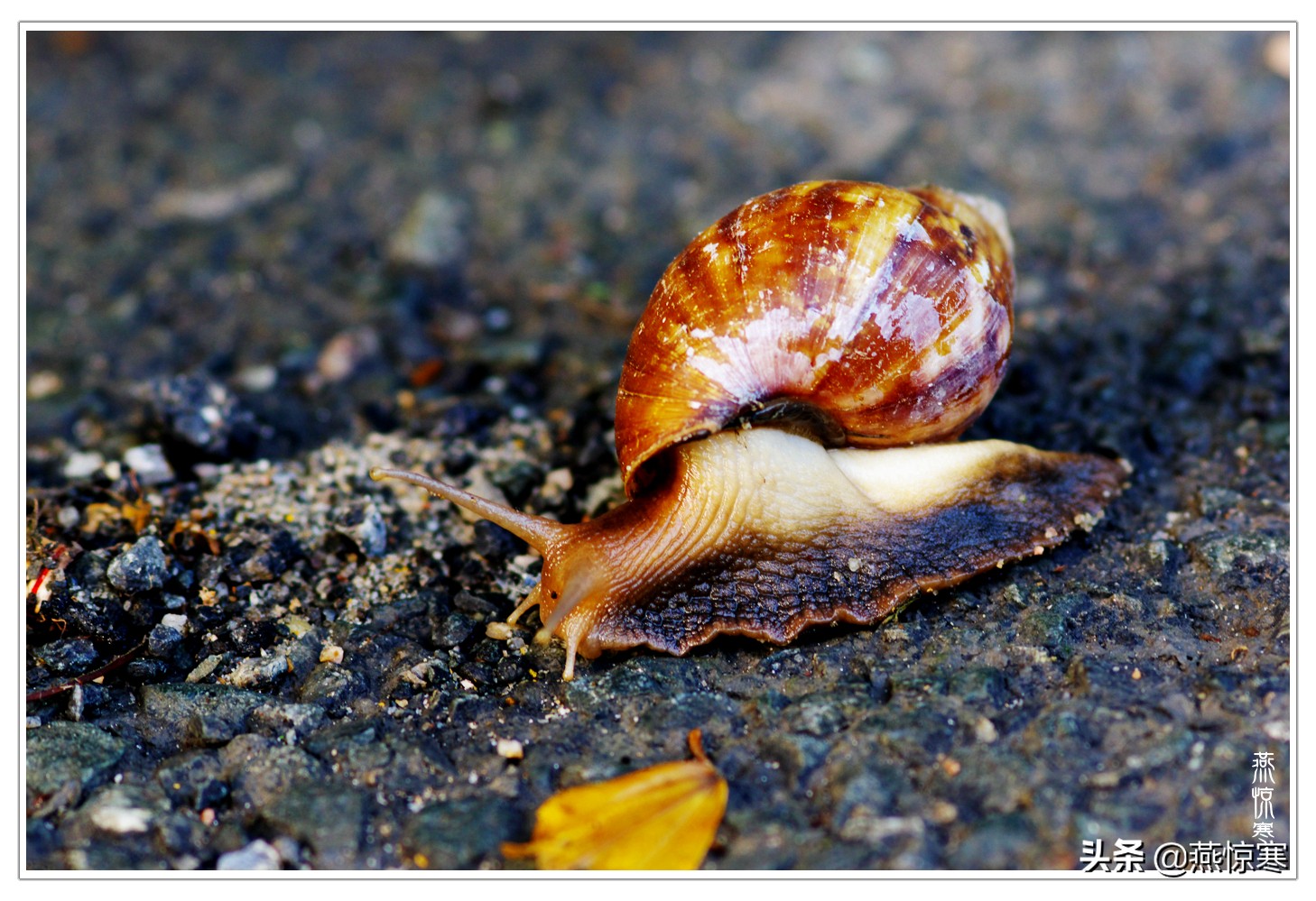 宾得理光镜头通用吗,宾得理光手动镜头推荐