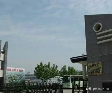我的大学时光英语,在青岛科技大学读书什么感觉