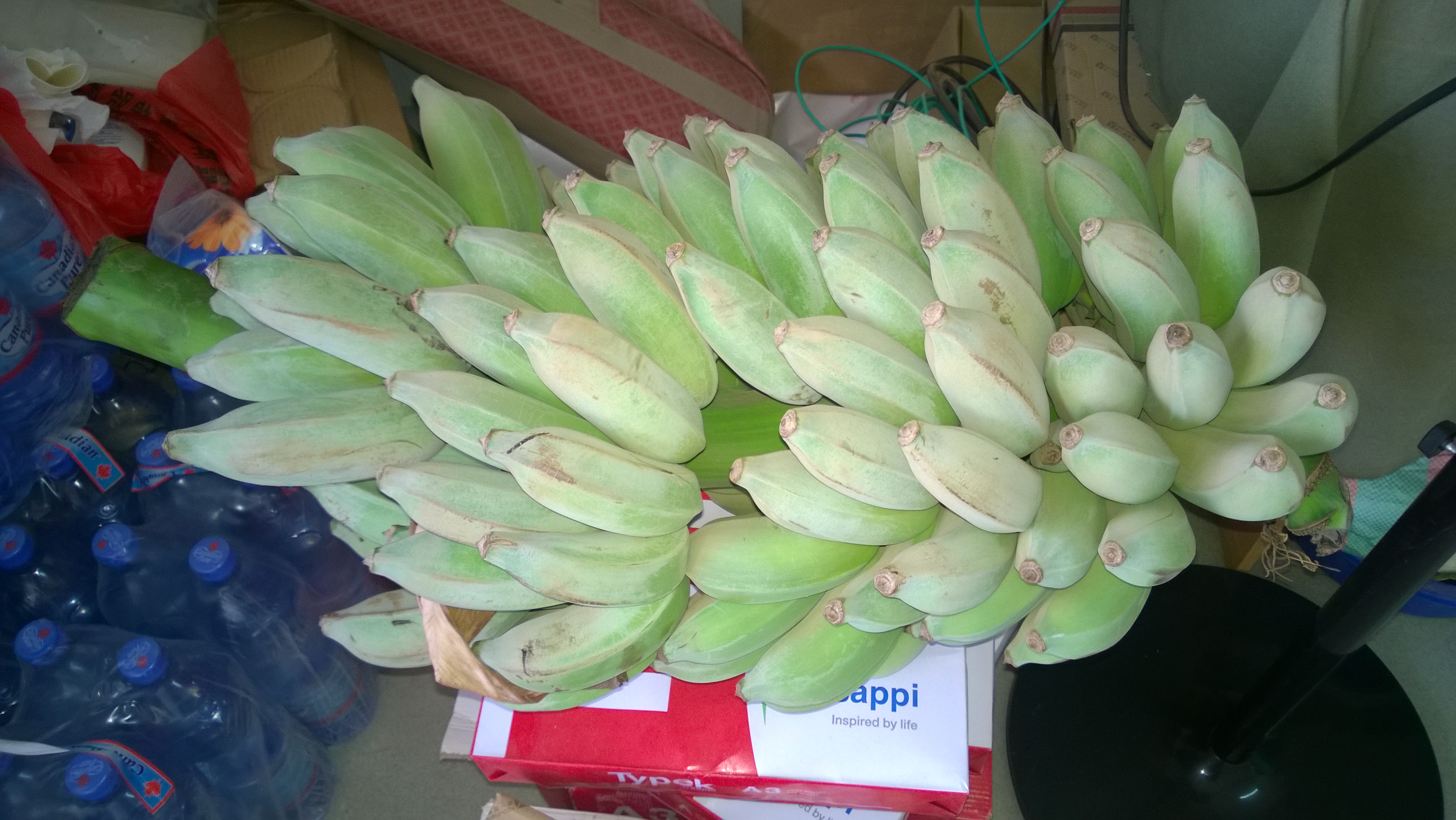 还有一个月就可以回国了，心里非常开心，简单回忆下来的那天