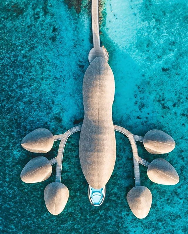 王思聪包场夏威夷,王思聪包岛花了多少钱