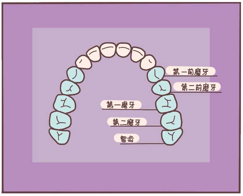 蛀牙会自己慢慢变坏吗,动画演示蛀牙到底是怎么变坏的