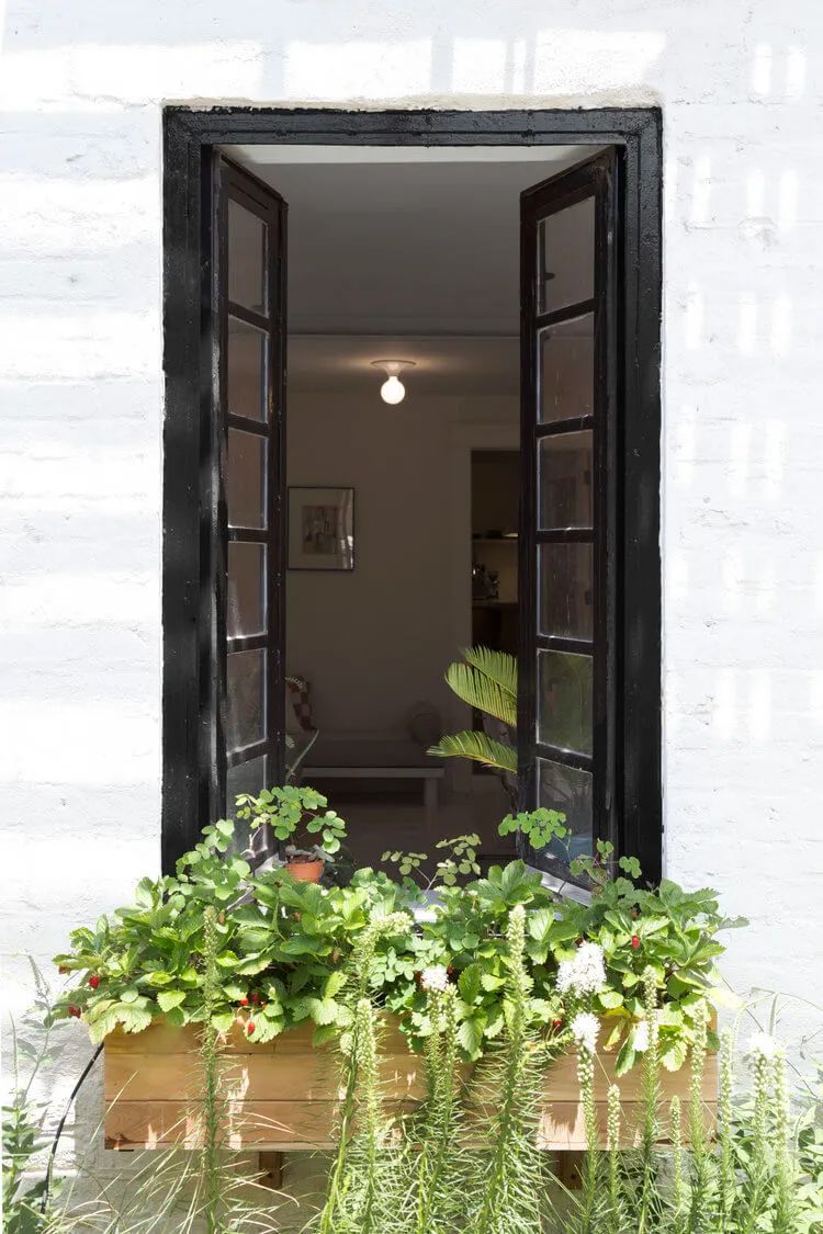 简单实用的家庭花园,20平方小花园