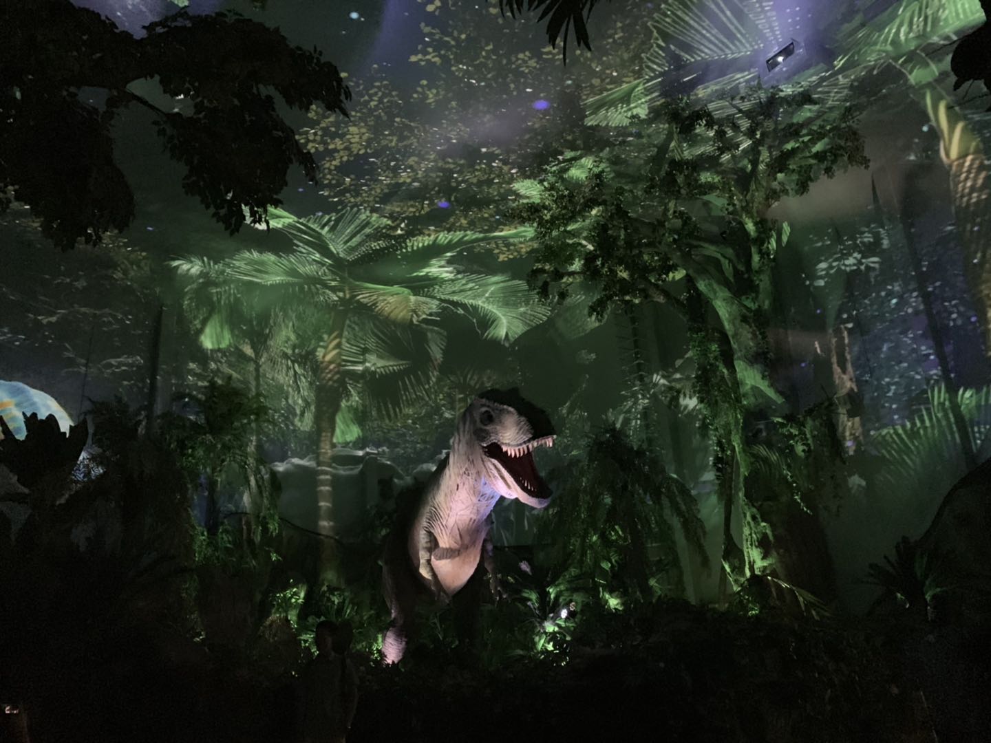 长隆野生动物世界推荐,长隆野生动物园必看动物