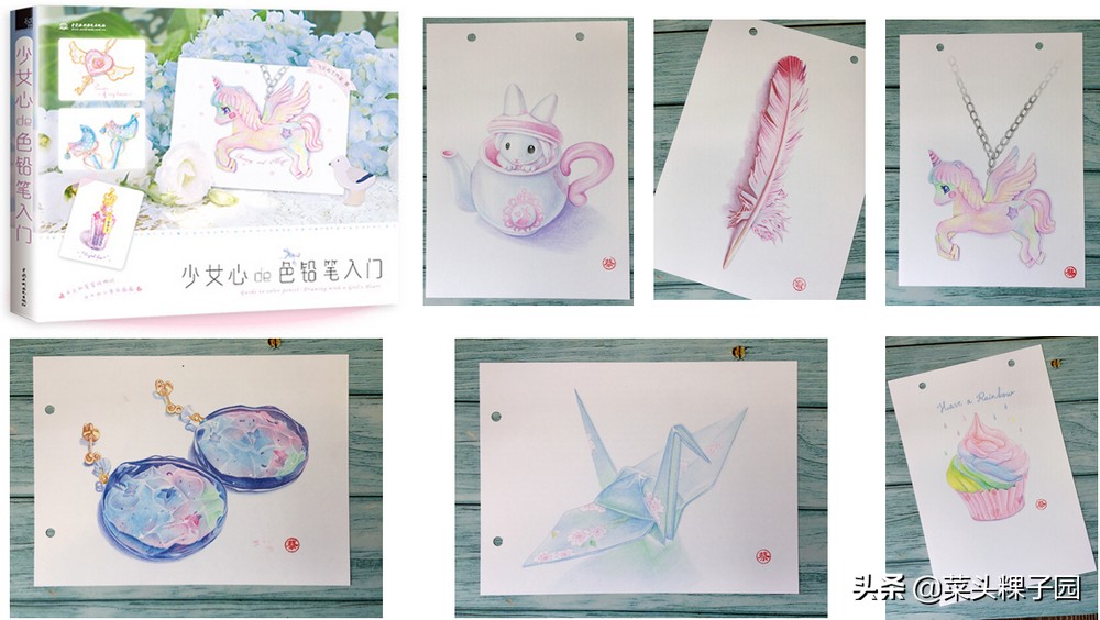 飞乐鸟彩铅人物教学,飞乐鸟彩铅测评