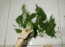 卖泥巴需要什么手续,卖泥巴的利润有多大