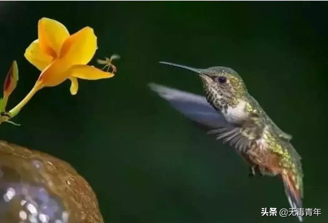 被囚34年取精，被迫亲手杀死爱子，最后只能挣扎着死去…